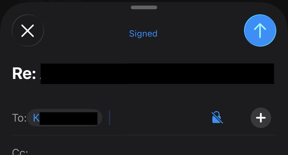 Screenshot of the UI described in the post's text, "blue"/on state.