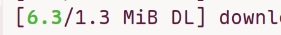 Terminal screenshot, showing a line which reads "6.3/1.3 MiB DL"