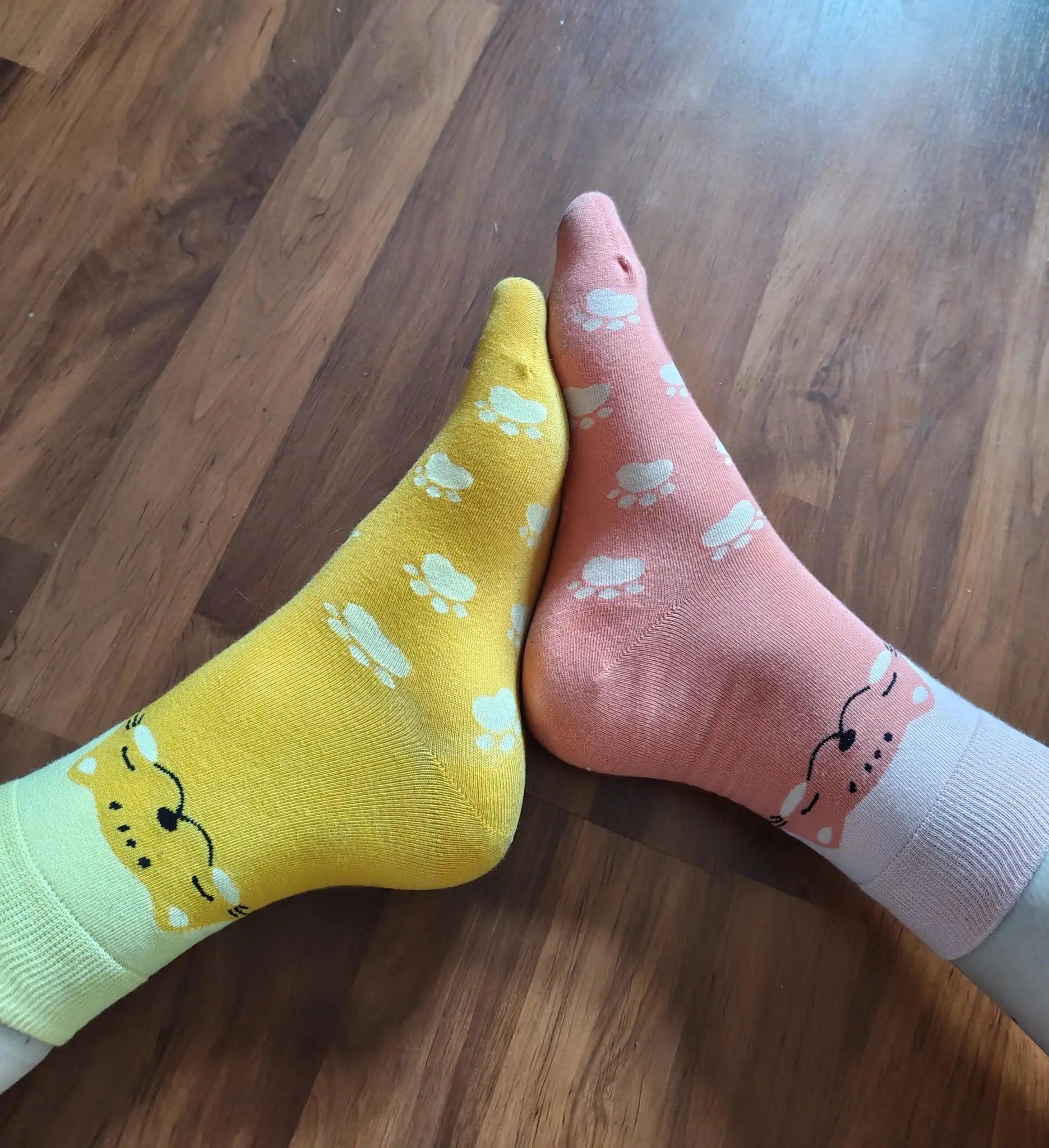 closeup of feet wearin mismatched cat socks (red, yellow)